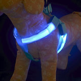 Dog Harness LED Lights