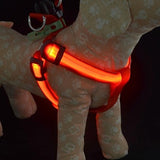 Dog Harness LED Lights