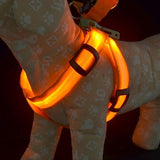 Dog Harness LED Lights